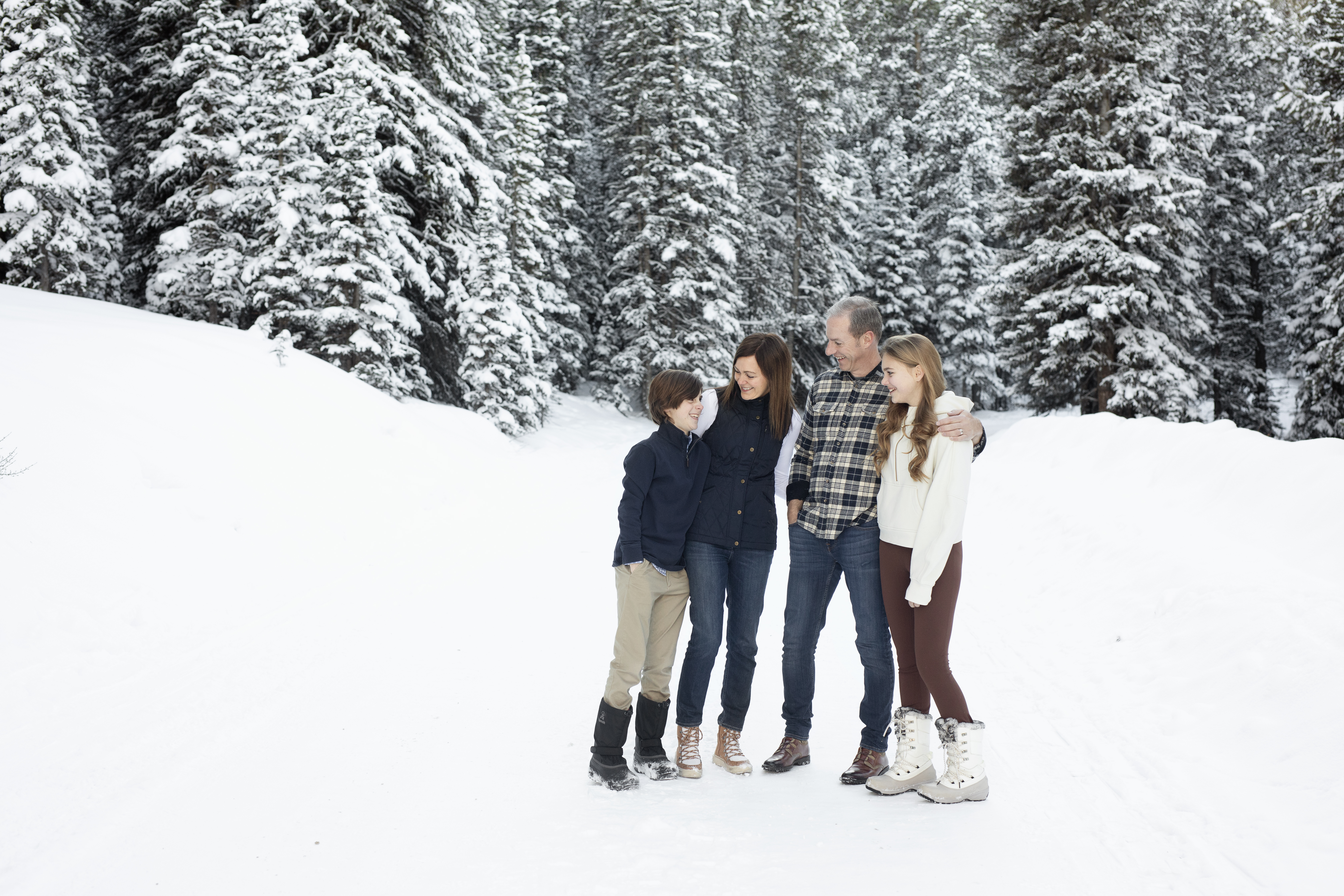 W Family {Boreas Pass}