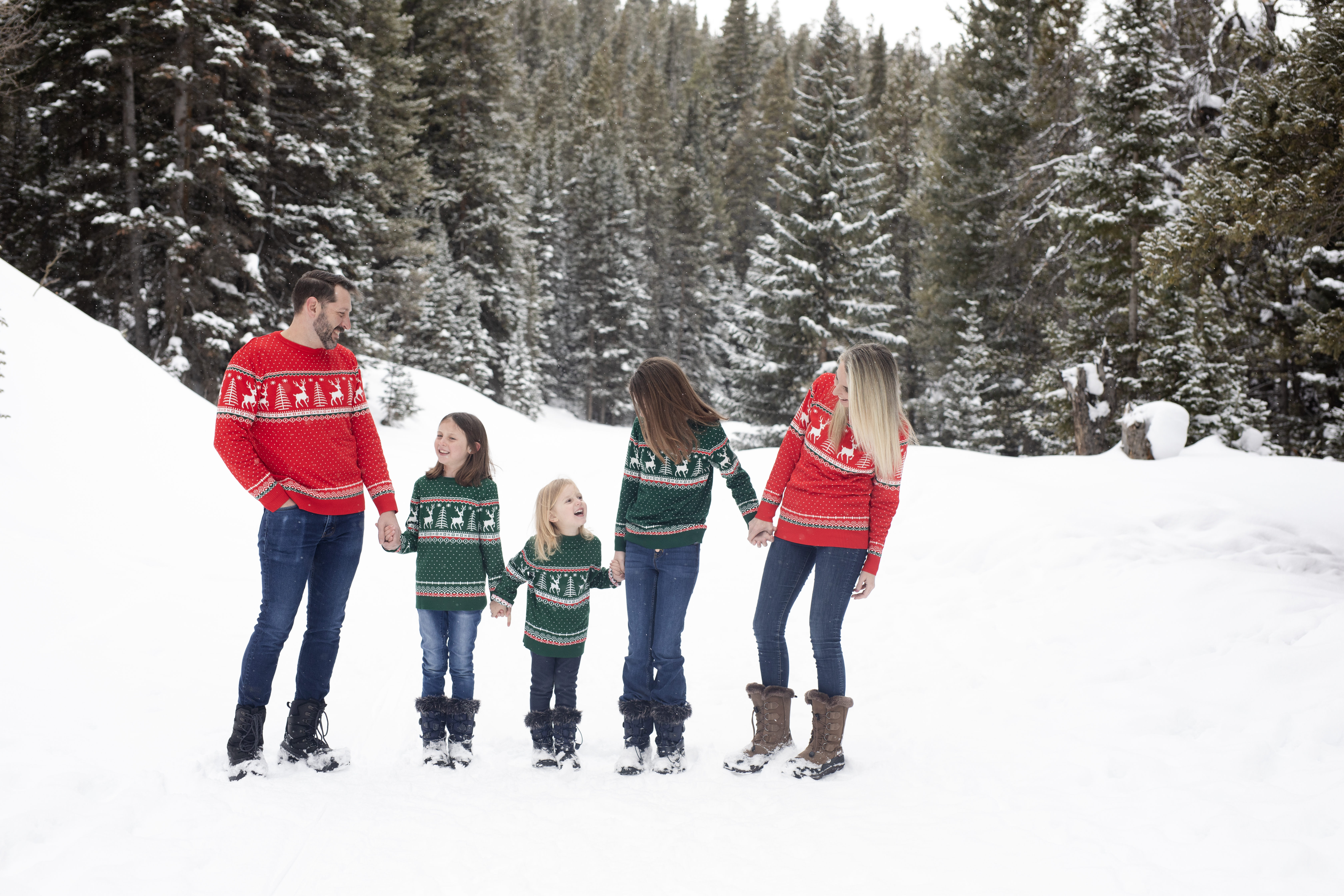 P Family {Boreas Pass Rd}