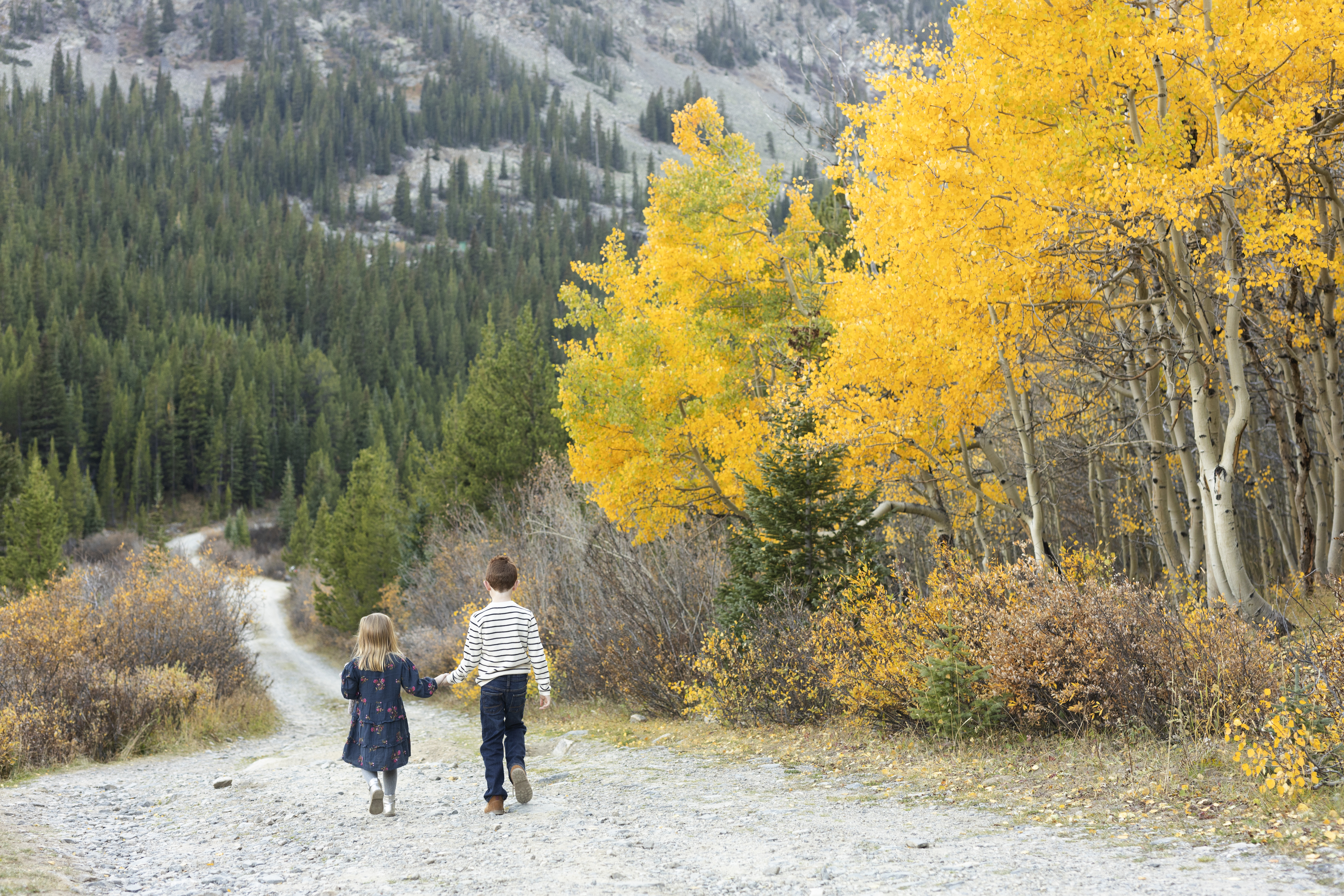 A Family {McCullough Gulch}