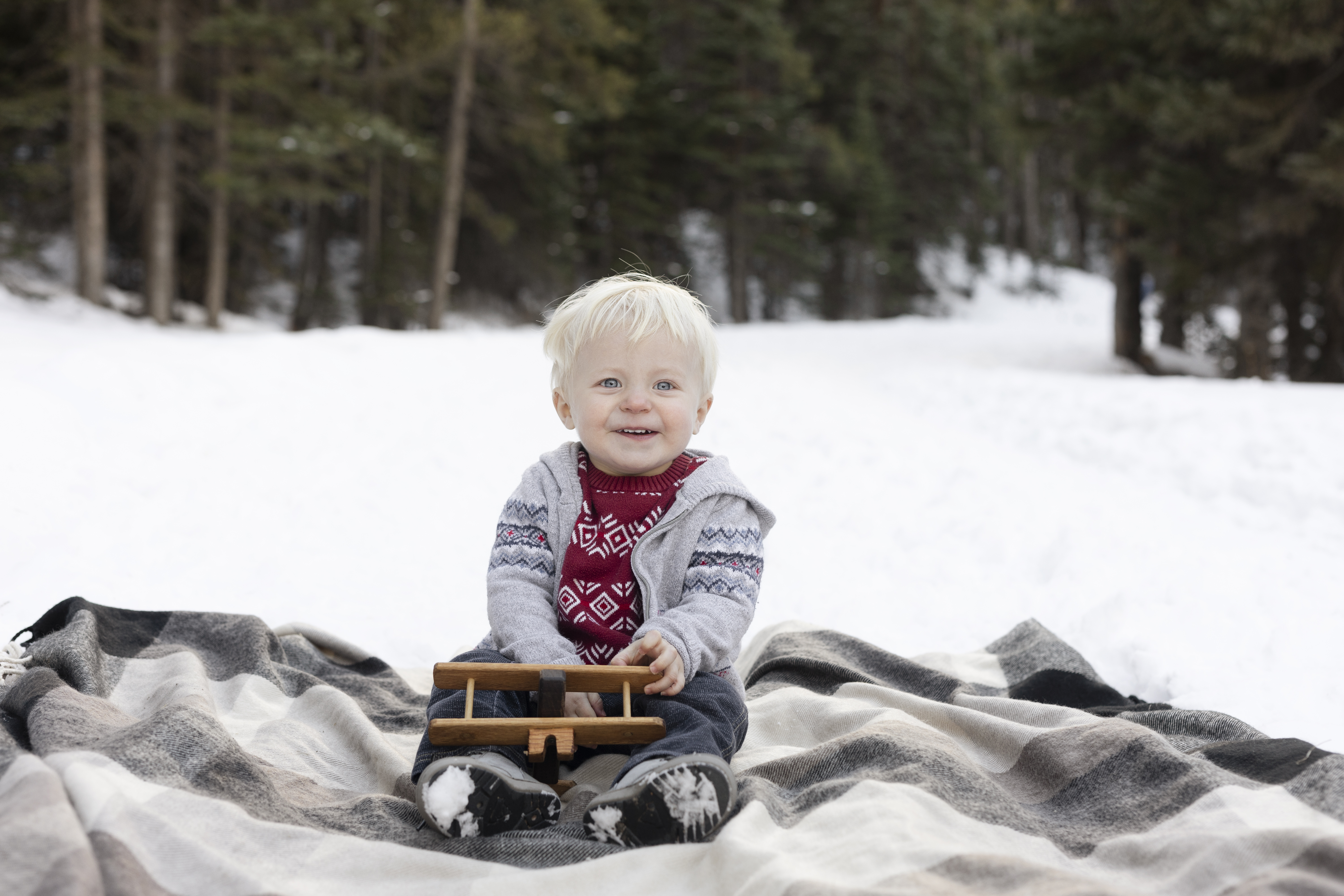 L Family {Boreas Pass}