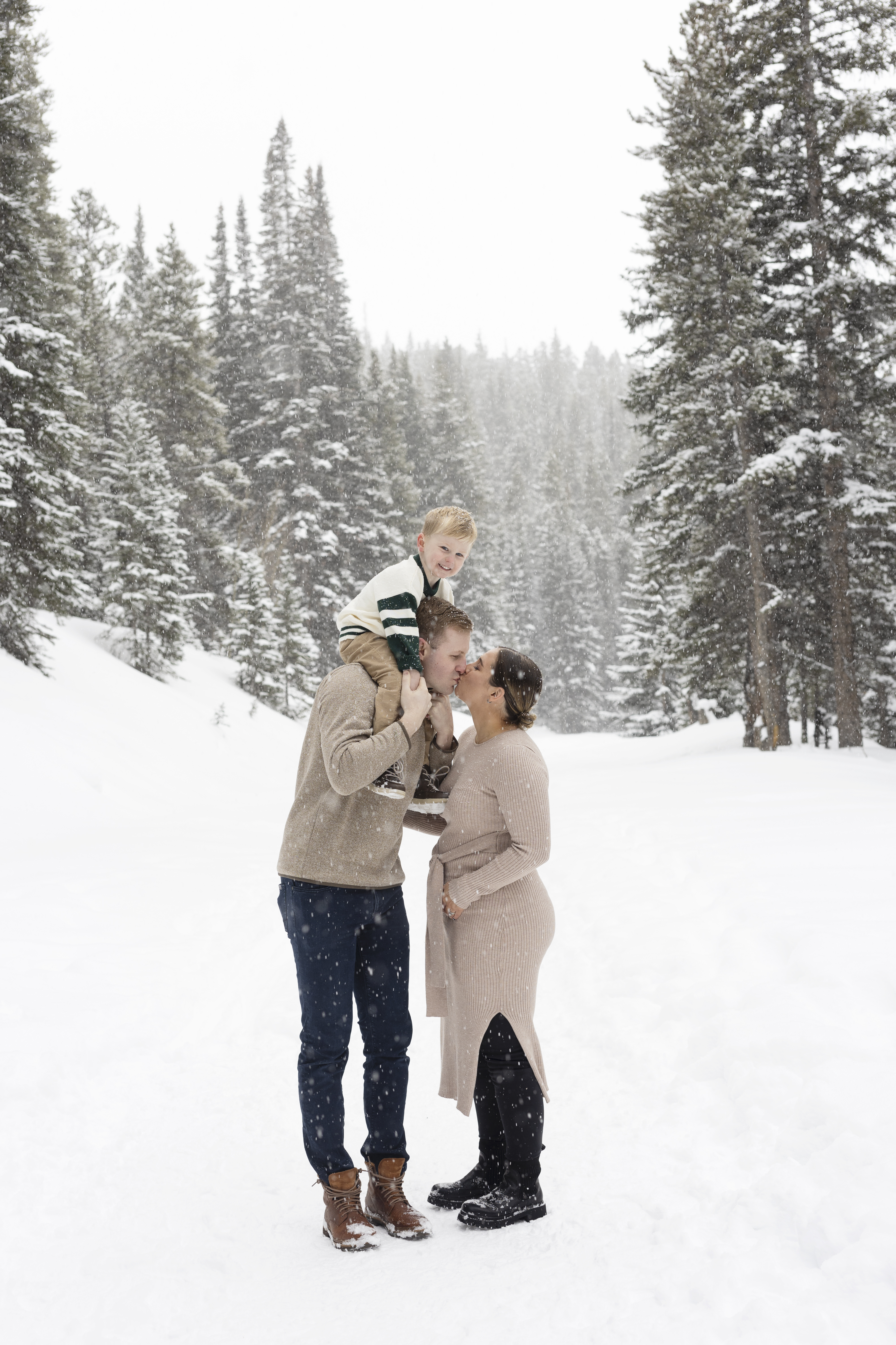 G Family {Boreas Pass Tress}